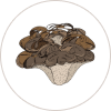 Ingrediant Image