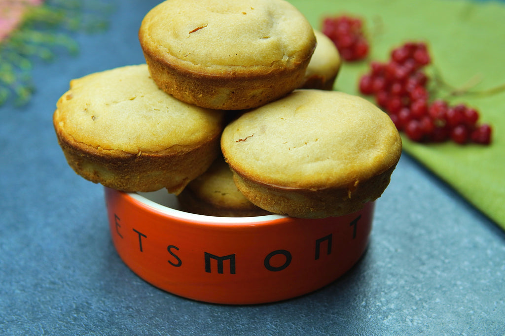 DIY Apricot Muffins for Dogs Recipe