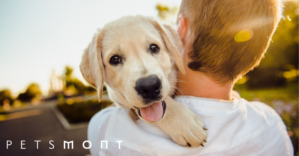 Why Dogs Are Man's Best Friend: The Truth May Surprise You