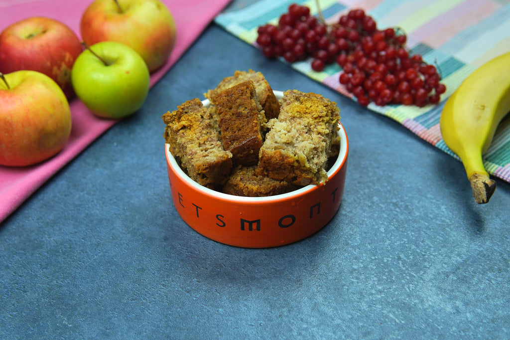 DIY Banana Bread for Dogs Recipe