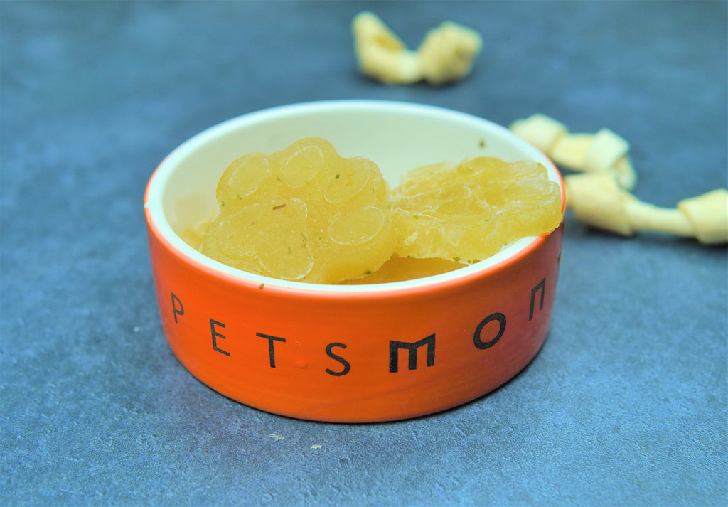 DIY Beef Bone Broth Gummies for Dogs Recipe