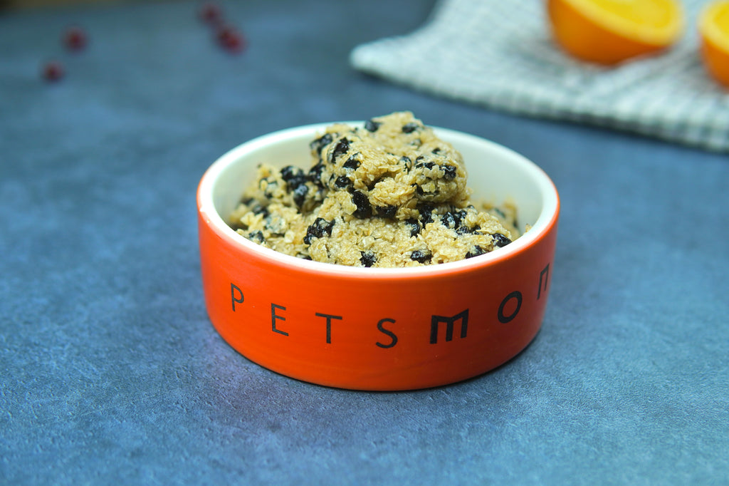 DIY Blueberry and Oatmeal Bars for Cats Recipe
