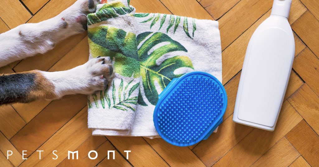What Dog Grooming Tools Do You Need?