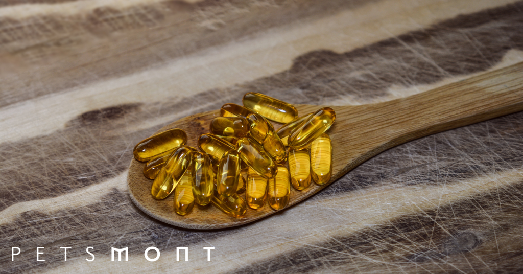 Wild Alaskan Salmon Oil for Dogs: What You Should Know About This Supplement
