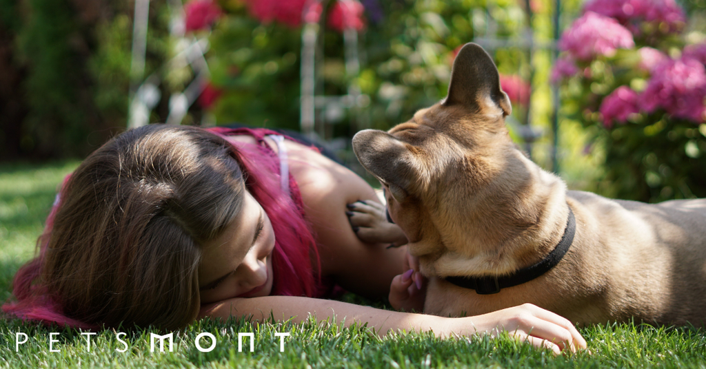 Thinking About Adopting a Dog? Read this first!