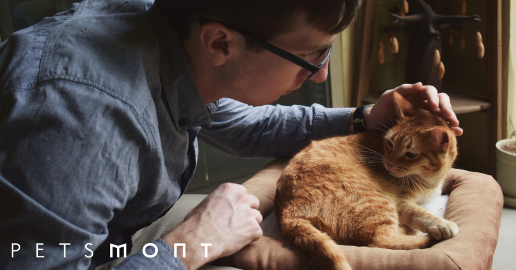 Everything You Need to Know About Pet Vaccinations
