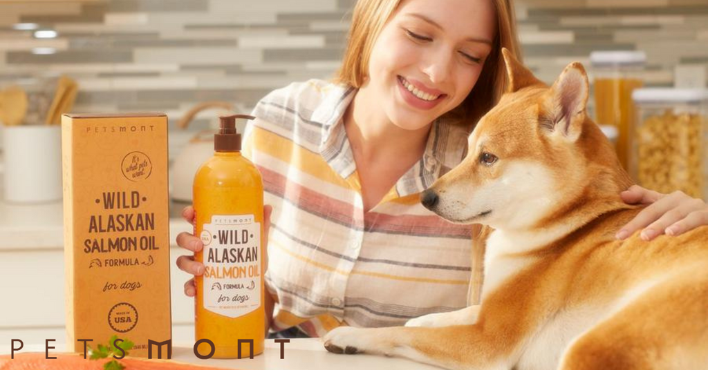 Benefits of Salmon Oil for Dogs