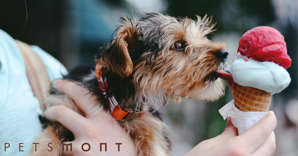 Human Foods That Are Toxic Foods to Dogs