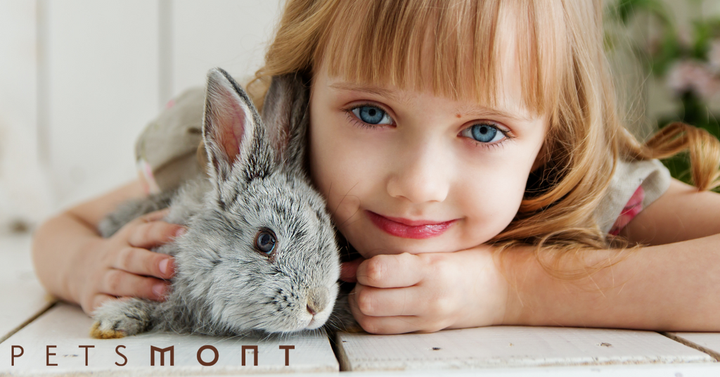 Best Pets for Children: The Most Loving First Pets