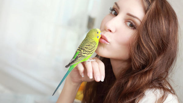 Five Reasons A Bird Makes The Perfect First Pet For You