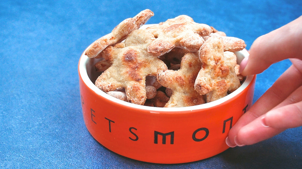 EZ Bake Chicken K9 Cookies for Dogs