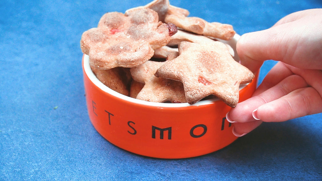 EZ Bake Strawberry K9 Cookies for Dogs