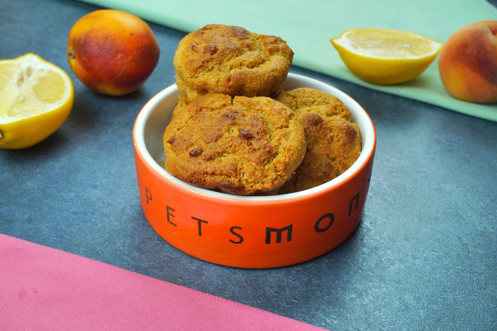 DIY Jumbo Canine Cupcake for Dogs Recipe
