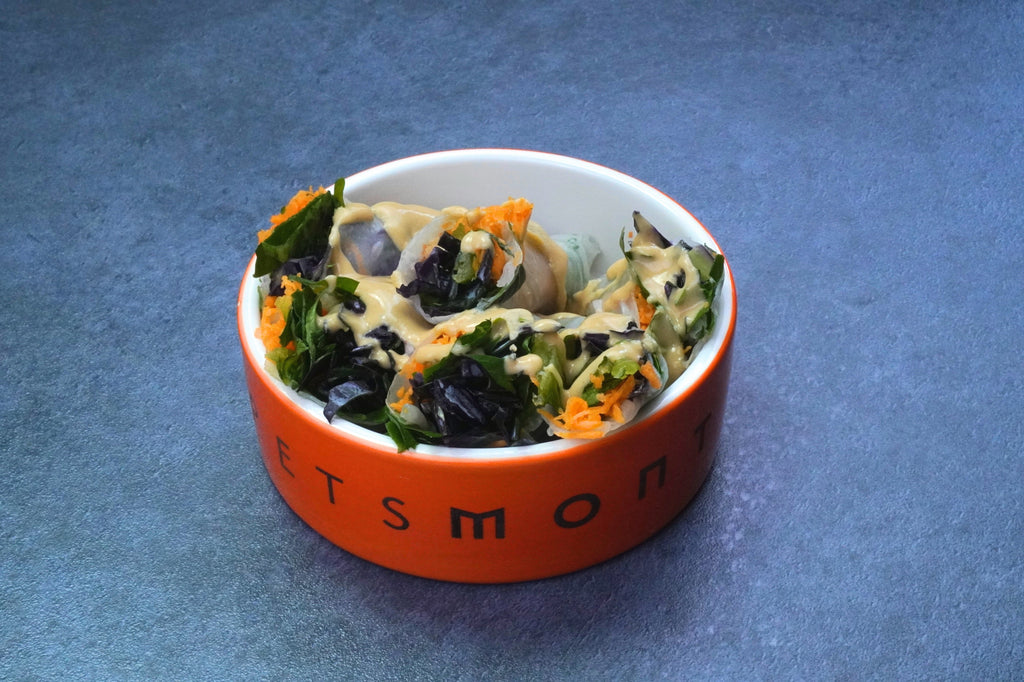 DIY K9 Summer Rolls for Dogs Recipe