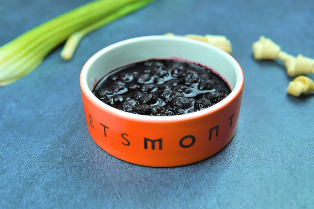DIY Blueberry Compote for Cats and Dogs Recipe