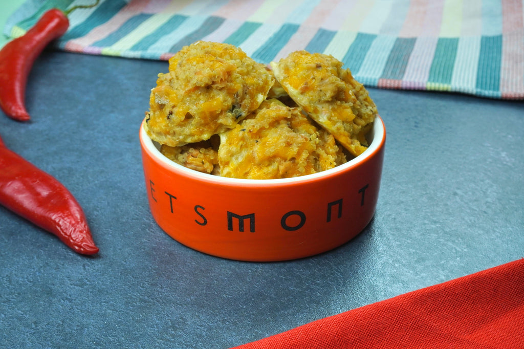 DIY Quick Quinoa Bites for Dogs Recipe