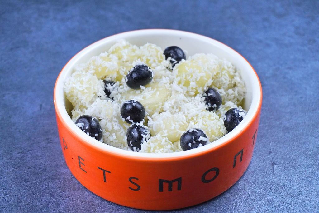 DIY Summertime Melon Salad for Dogs Recipe