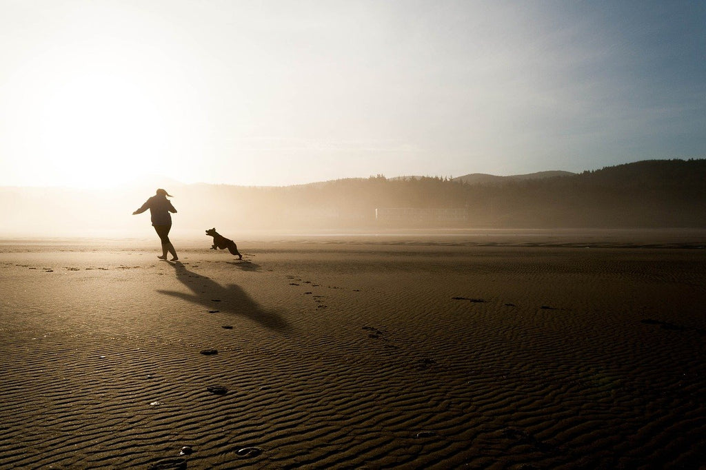 21 Fun and Simple Ways to Bond With Your Dog