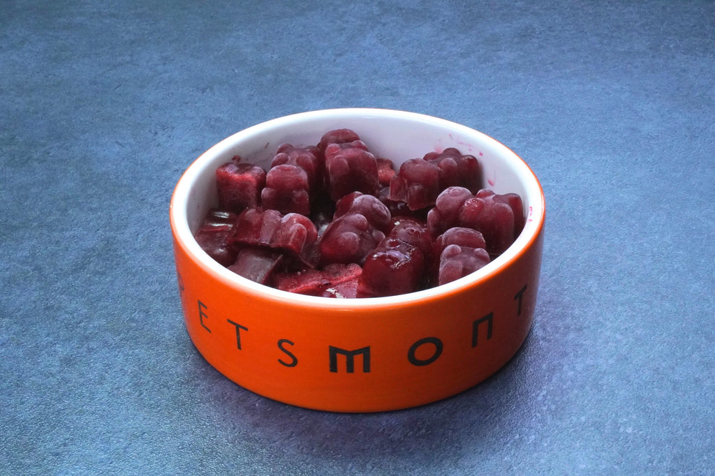 DIY Berry Ice Treats for Dogs Recipe