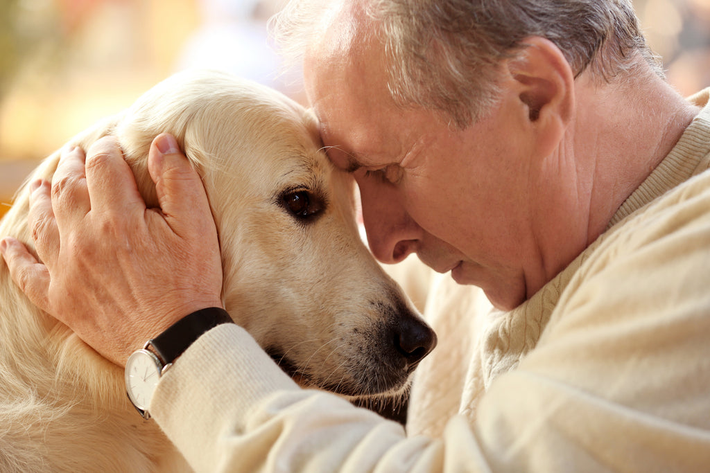 Dog Life Expectancy: Tips for Boosting it