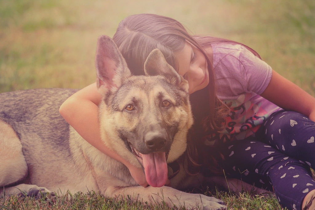 Should you get a dog as a first pet?