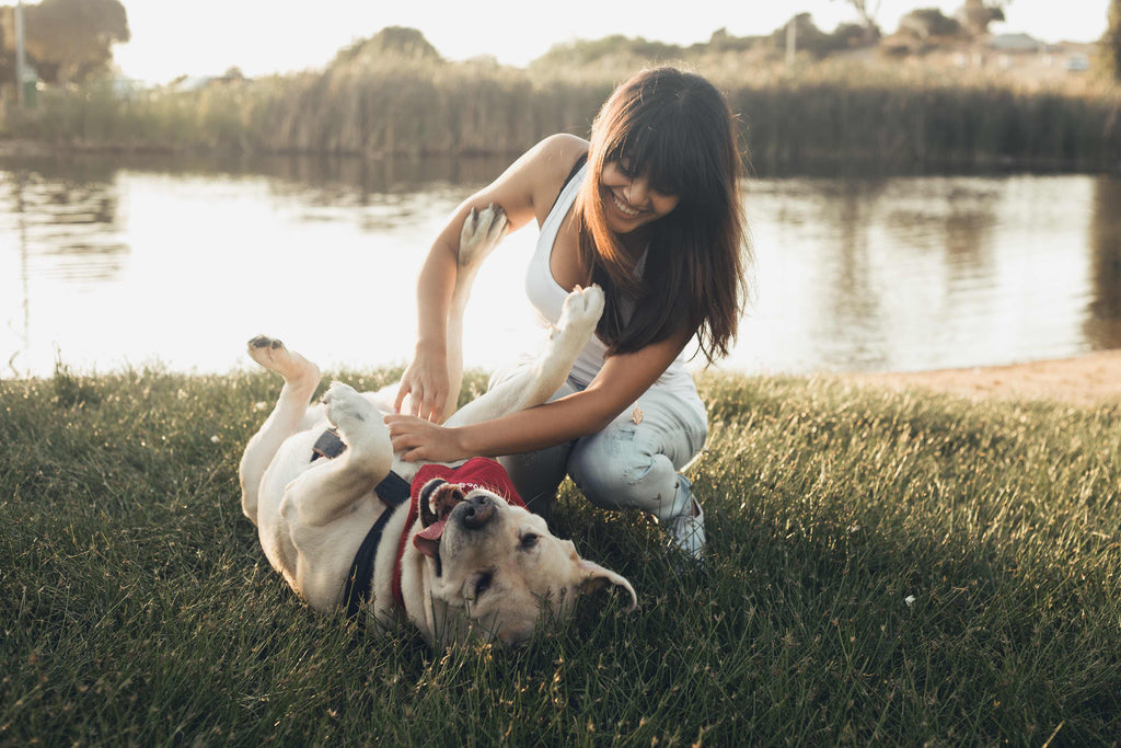 How to Care For Your Pet Dog