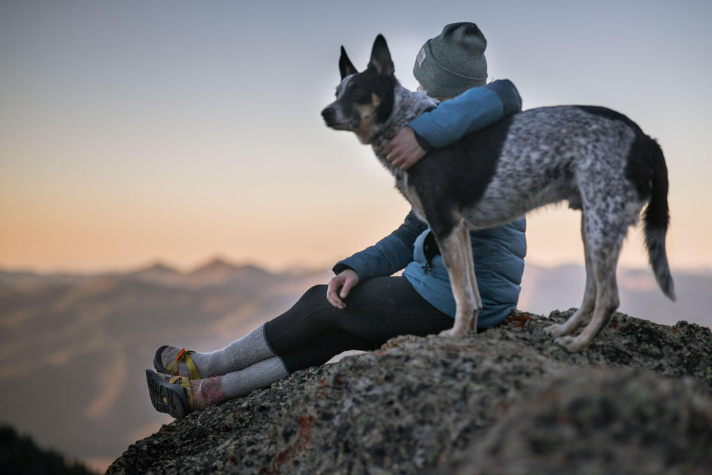 The Human-Animal Bond: Why It's Strong