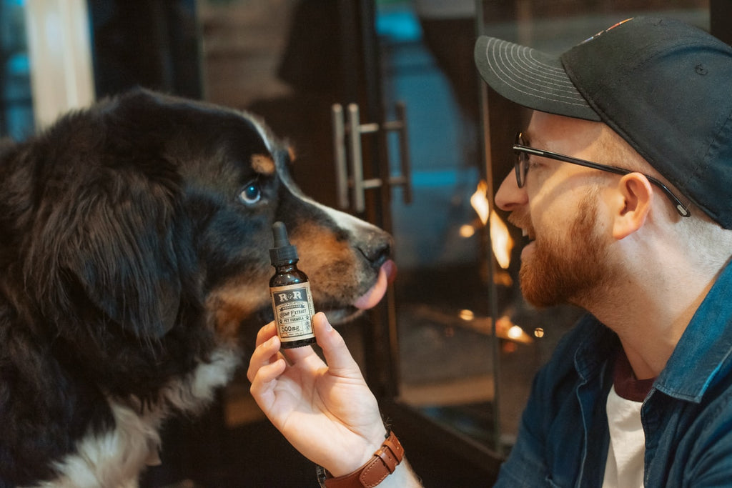 Hemp Benefits for Your Beloved Pets
