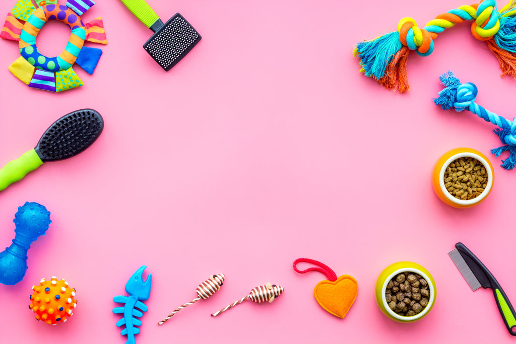 Here Are 7 Puppy Accessories You Need To Have