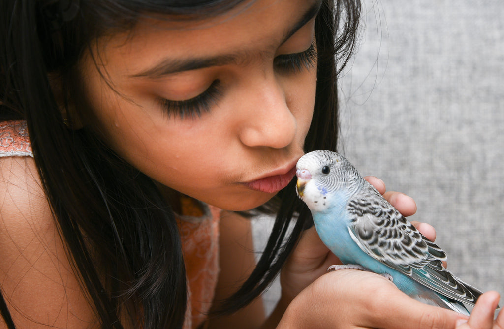 Here Are Valuable Tips To Ensure You Have a Healthy Bird