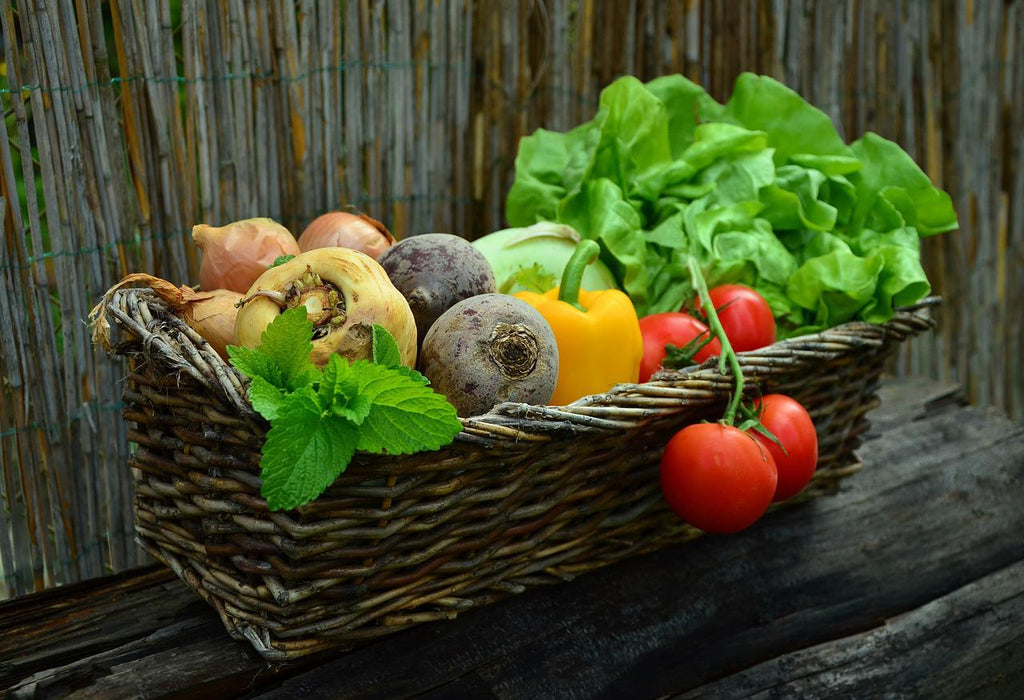 How to Use Nutrition to Reduce Inflammation and Boost Your Dog's Immune System