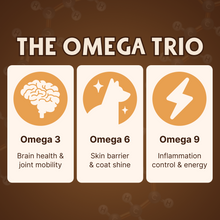 Wild Alaskan Salmon Oil for Dogs | Omega 3, 6 & 9 | Petsmont Omega Love+ view 3