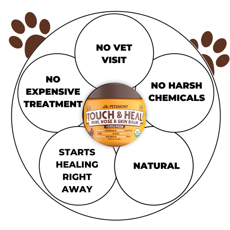 Petsmont Touch & Heal