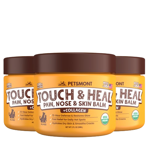 Organic Dog Paw & Nose Balm for Dry Skin | Petsmont Touch & Heal