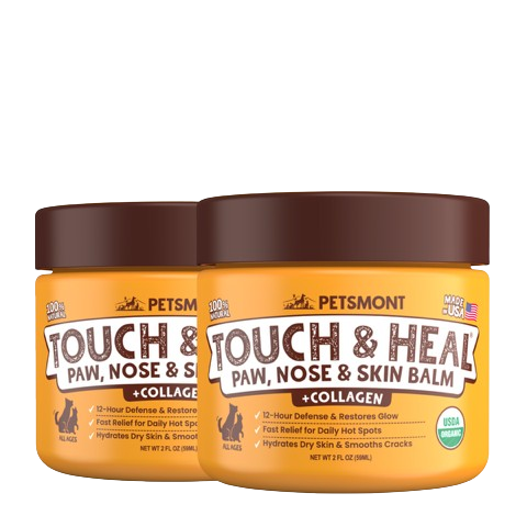 Organic Dog Paw & Nose Balm for Dry Skin | Petsmont Touch & Heal