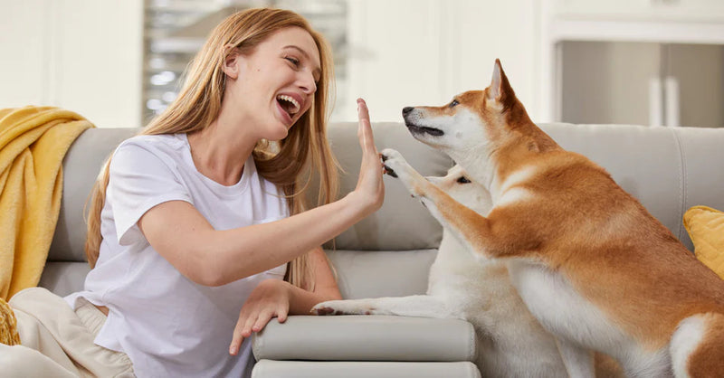 Woman high-fiving dog