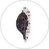 Chaga