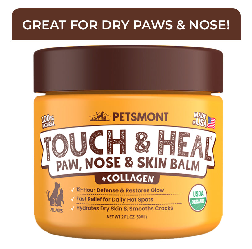 Jar of Petsmont Touch & Heal Paw, Nose & Skin Balm with brown lid on a white background
